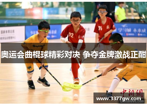 奥运会曲棍球精彩对决 争夺金牌激战正酣